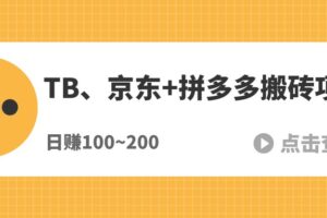 外面收费980的淘宝、京东+拼多多搬砖项目，稳定日入100~200（搬砖钱）